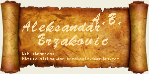 Aleksandar Brzaković vizit kartica